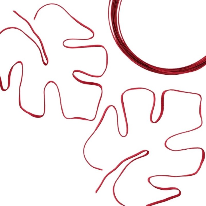 Aluminiumdraad Embossed Plat 5mmx1mmx5m Red