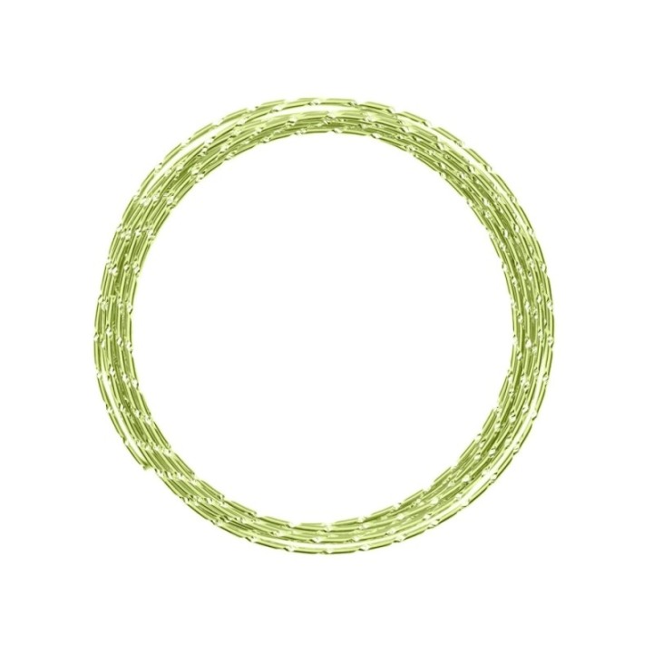 Aluminiumdraad Diamond Cut 2mmx5m Mint Green